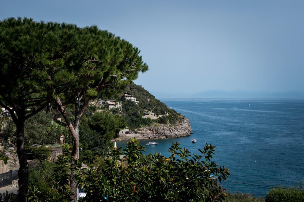 Marina del Cantone Chalet Nerano Exterior foto